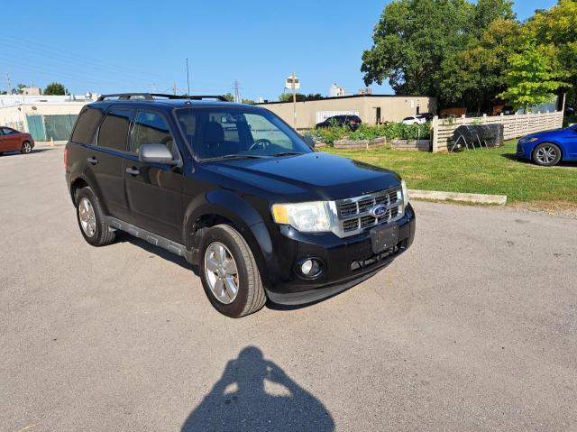 FORD ESCAPE XLT 2010 with VIN 1FMCU9DG0AKB87707 - Photo from auction