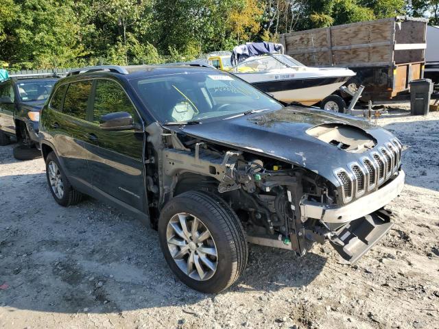 JEEP CHEROKEE L 2018 with VIN 1C4PJMDX6JD554812 - Photo from auction