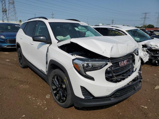 GMC TERRAIN SL 2020 with VIN 3GKALMEV1LL199255 - Photo from auction