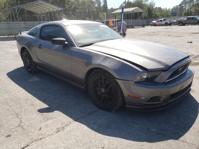FORD MUSTANG 2014 with VIN 1ZVBP8AM4E5301091 - Photo from auction
