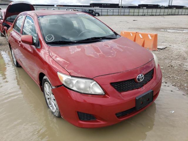TOYOTA COROLLA BA 2010 with VIN 1NXBU4EE0AZ246805 - Photo from auction