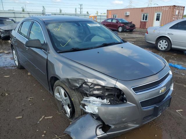 CHEVROLET MALIBU LS 2010 with VIN 1G1ZB5E04AF205190 - Photo from auction