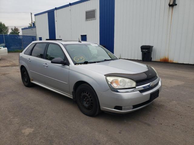 CHEVROLET MALIBU MAX 2005 with VIN 1G1ZU64895F236545 - Photo from auction