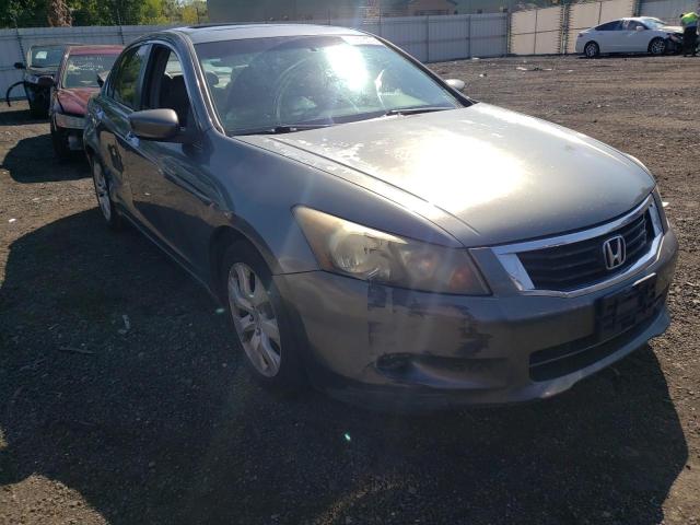 Photo 1 from auction – 2008 HONDA ACCORD EXL with VIN 1HGCP36818A045205