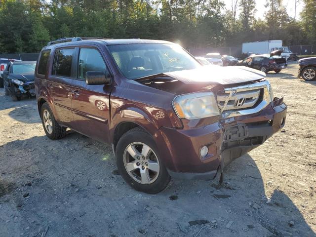 HONDA PILOT EX 2011 with VIN 5FNYF4H47BB040404 - Photo from auction