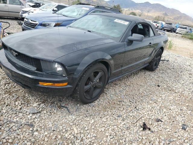 Photo 9 from auction – 2005 FORD MUSTANG with VIN 1ZVFT84N555234101