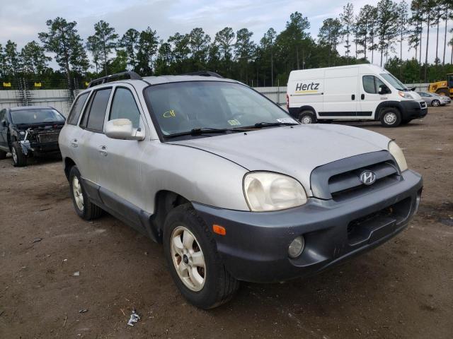 Photo 1 from auction – 2005 HYUNDAI SANTA FE with VIN KM8SC73D35U908221
