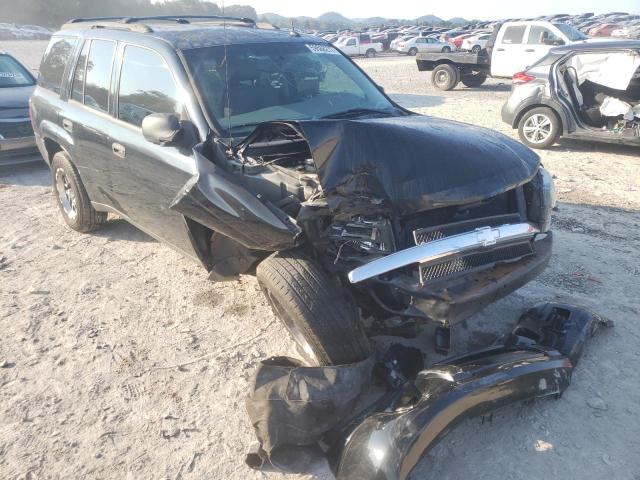 CHEVROLET TRAILBLAZE 2005 with VIN 1GNDS13S752117902 - Photo from auction