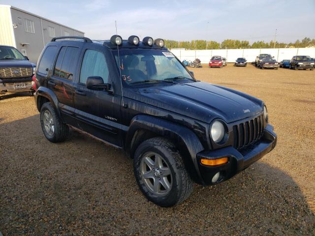 JEEP LIBERTY LI 2004 with VIN 1J4GL58K94W124256 - Photo from auction