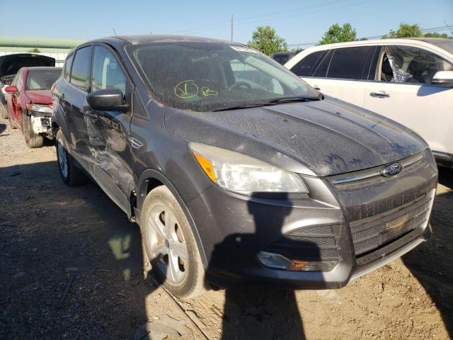 FORD ESCAPE SE 2014 with VIN 1FMCU0GX3EUC09491 - Photo from auction