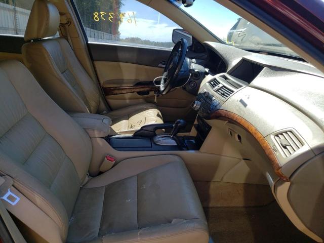 Photo 5 from auction – 2008 HONDA ACCORD EXL with VIN 1HGCP368X8A077442