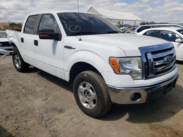 FORD F150 SUPER 2010 with VIN 1FTEW1E81AKE80497 - Photo from auction