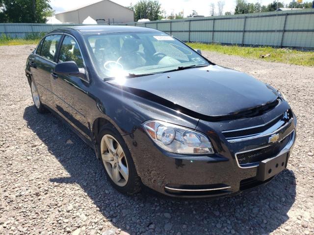 CHEVROLET MALIBU LS 2012 with VIN 1G1ZB5E01CF153438 - Photo from auction