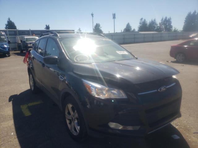 FORD ESCAPE SE 2016 with VIN 1FMCU9G95GUA14663 - Photo from auction