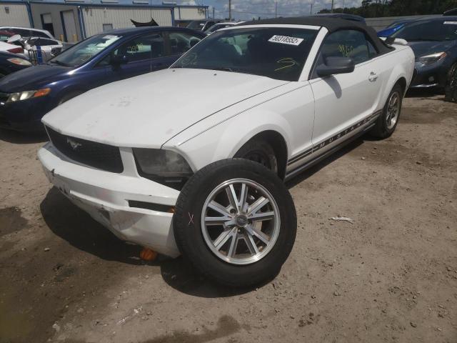 Photo 2 from auction – 2005 FORD MUSTANG with VIN 1ZVFT84N855183578