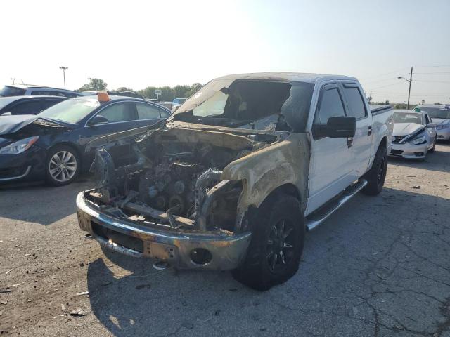 Photo 2 from auction – 2010 FORD F150 SUPER with VIN 1FTEW1E8XAFD63672