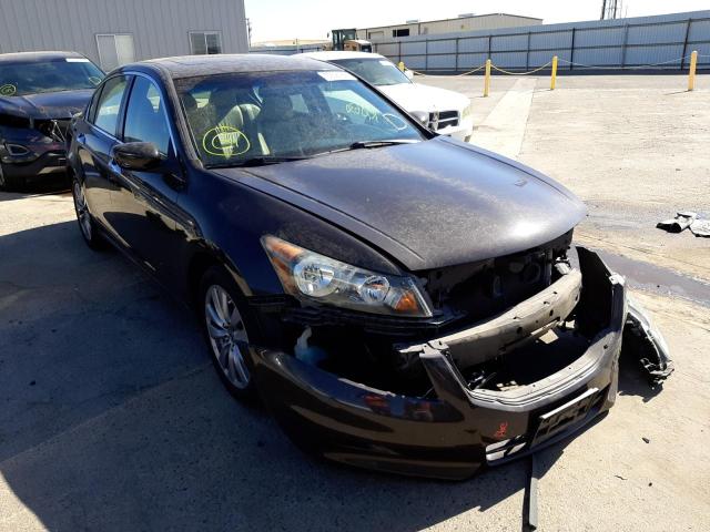 HONDA ACCORD EXL 2011 with VIN 1HGCP3F8XBA018852 - Photo from auction