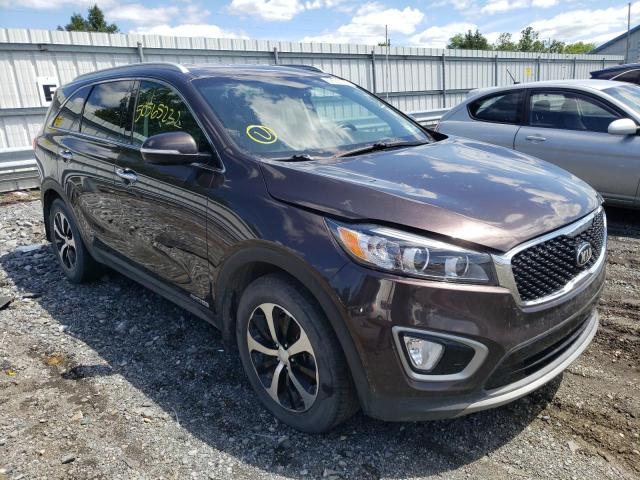 KIA SORENTO EX 2016 with VIN 5XYPHDA56GG097993 - Photo from auction