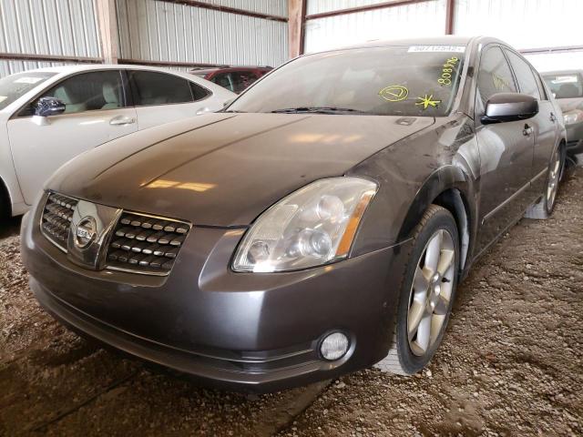 Photo 2 from auction – 2006 NISSAN MAXIMA SE with VIN 1N4BA41E36C808976