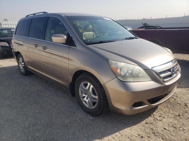 Photo 1 from auction – 2005 HONDA ODYSSEY EX with VIN 5FNRL38685B510548