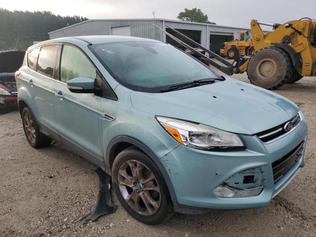FORD ESCAPE SEL 2013 with VIN 1FMCU0HX3DUB02888 - Photo from auction
