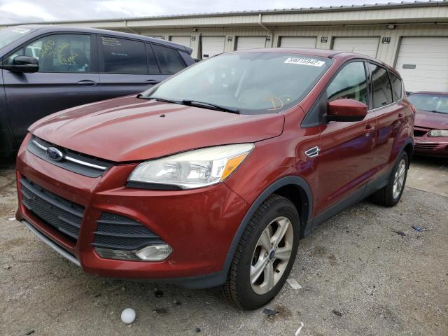 Photo 2 from auction – 2014 FORD ESCAPE SE with VIN 1FMCU9GX5EUC58115