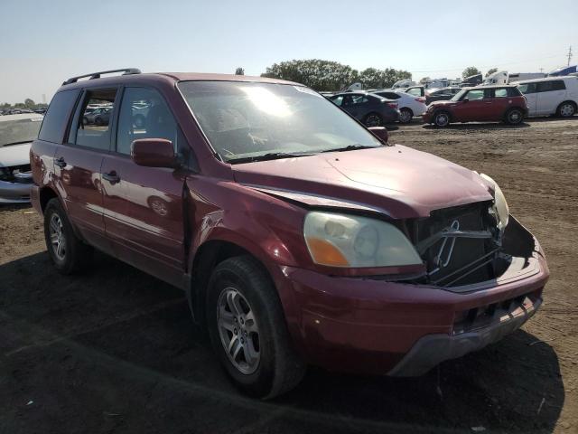 HONDA PILOT EX 2004 with VIN 2HKYF184X4H509486 - Photo from auction