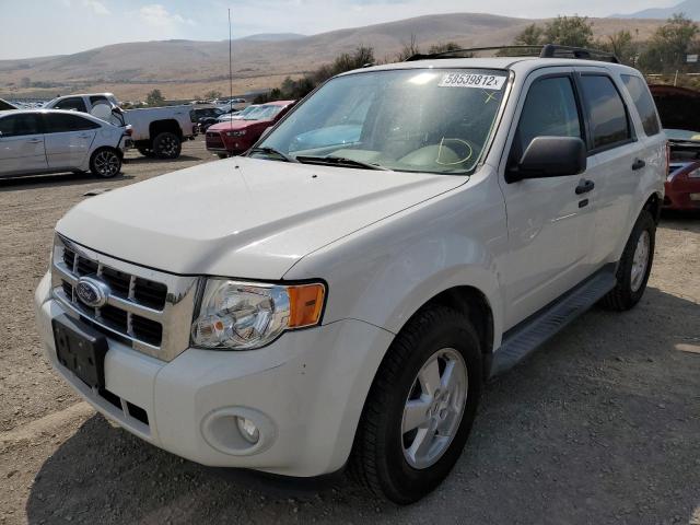 Photo 2 from auction – 2011 FORD ESCAPE XLT with VIN 1FMCU0DG4BKC17952