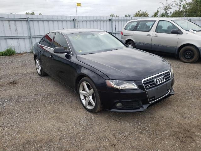 AUDI A4 PREMIUM 2011 with VIN WAUFFCFL7BN039960 - Photo from auction