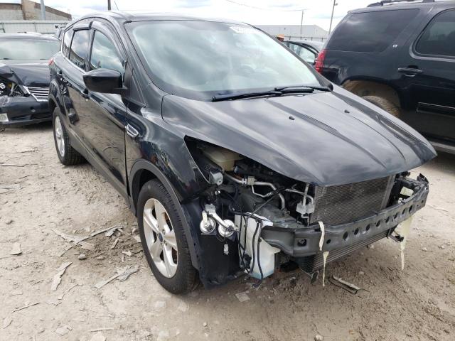 FORD ESCAPE SE 2014 with VIN 1FMCU0GX5EUA68584 - Photo from auction