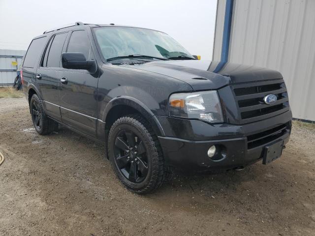 FORD EXPEDITION 2010 with VIN 1FMJU2A59AEA28927 - Photo from auction