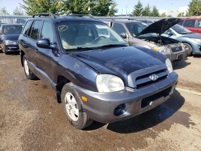 HYUNDAI SANTA FE 2005 with VIN KM8SB13D65U902364 - Photo from auction