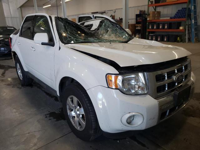 FORD ESCAPE LIM 2009 with VIN 1FMCU04G69KD01491 - Photo from auction