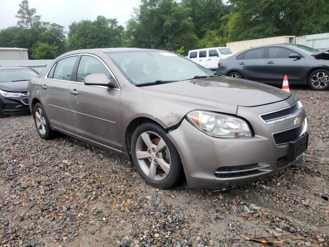 CHEVROLET MALIBU 1LT 2011 with VIN 1G1ZC5E11BF391049 - Photo from auction