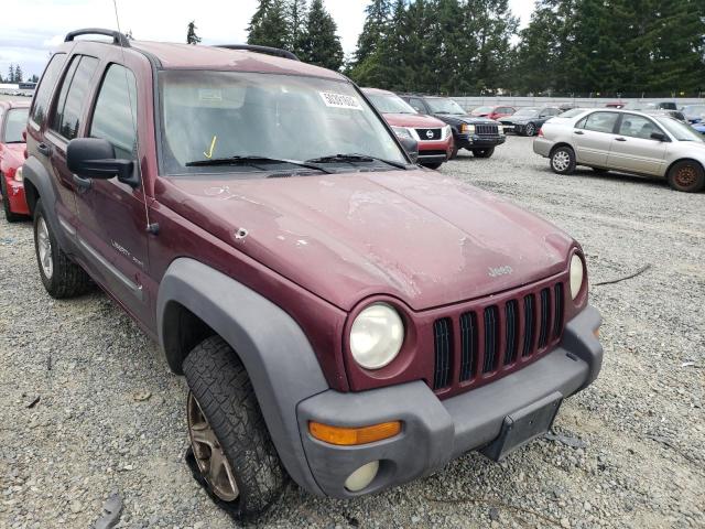 JEEP LIBERTY SP 2002 with VIN 1J4GL48K92W139055 - Photo from auction