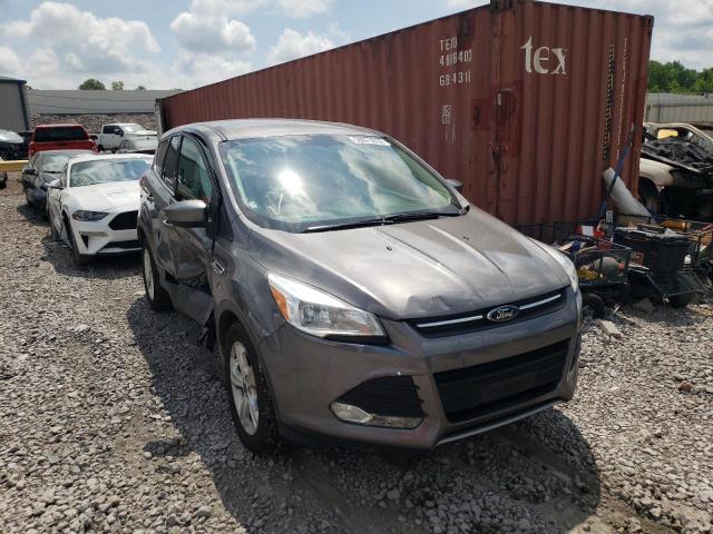 FORD ESCAPE SE 2014 with VIN 1FMCU0G98EUA53644 - Photo from auction