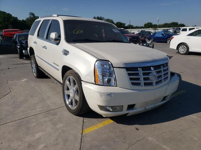 CADILLAC ESCALADE P 2011 with VIN 1GYS4CEF8BR213539 - Photo from auction