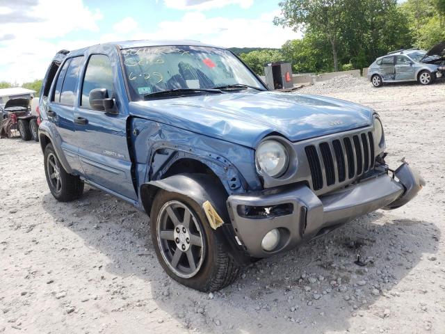 JEEP LIBERTY SP 2003 with VIN 1J4GL48KX3W671769 - Photo from auction