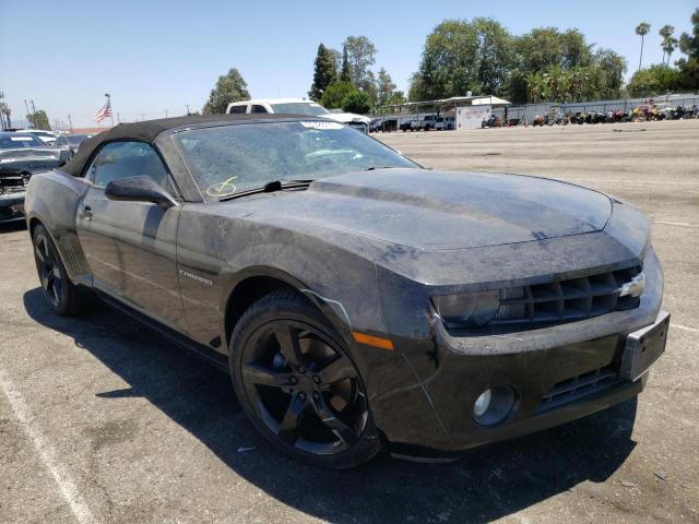 CHEVROLET CAMARO LT 2011 with VIN 2G1FC3DD5B9173255 - Photo from auction