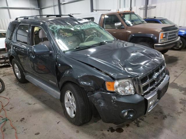FORD ESCAPE HEV 2008 with VIN 1FMCU49H68KE45369 - Photo from auction