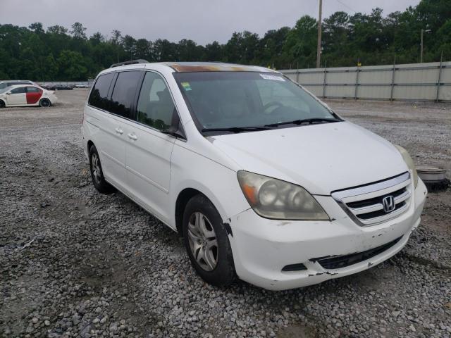 HONDA ODYSSEY EX 2005 with VIN 5FNRL38645B036503 - Photo from auction