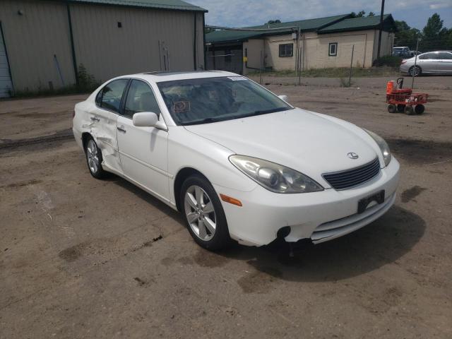 LEXUS ES 330 2005 with VIN JTHBA30G255141875 - Photo from auction