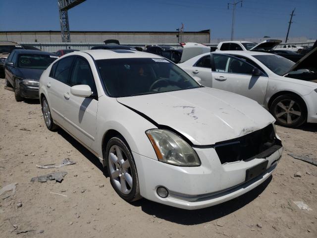 NISSAN MAXIMA SE 2004 with VIN 1N4BA41E34C808053 - Photo from auction