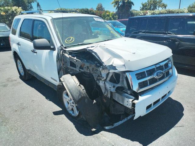 Photo 1 from auction – 2008 FORD ESCAPE HEV with VIN 1FMCU49HX8KE46265