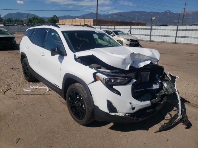 GMC TERRAIN SL 2021 with VIN 3GKALTEV9ML357398 - Photo from auction