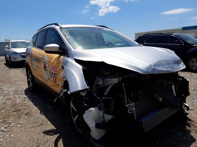 Photo 1 from auction – 2017 FORD ESCAPE SE with VIN 1FMCU9G96HUD53272
