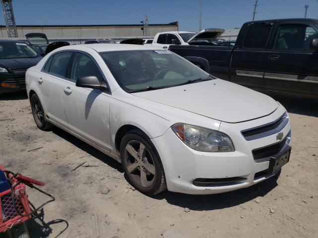 CHEVROLET MALIBU LS 2010 with VIN 1G1ZA5E06AF104946 - Photo from auction