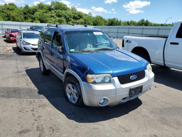 FORD ESCAPE XLT 2007 with VIN 1FMCU93177KA75072 - Photo from auction