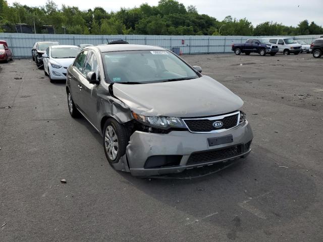 KIA FORTE EX 2012 with VIN KNAFU4A24C5564163 - Photo from auction