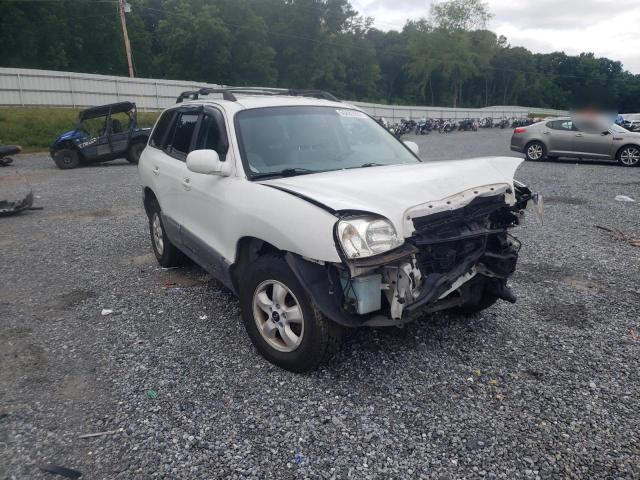HYUNDAI SANTA FE 2006 with VIN KM8SC13D16U075856 - Photo from auction